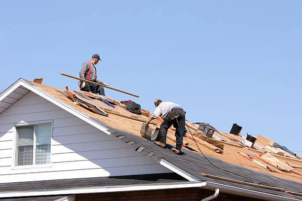 Best Rubber Roofing (EPDM, TPO)  in Marine City, MI
