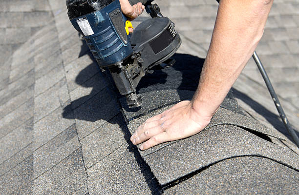 Best Roof Insulation Installation  in Marine City, MI